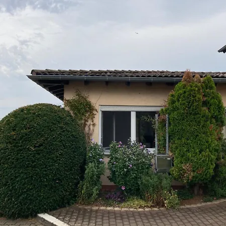 Apartment Ferienwohnung Rheinhessenhof Mainz